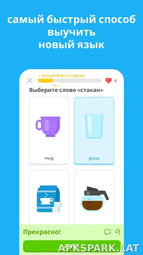 Дуолинго скриншот 5