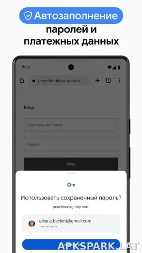 Google Chrome скриншот 6