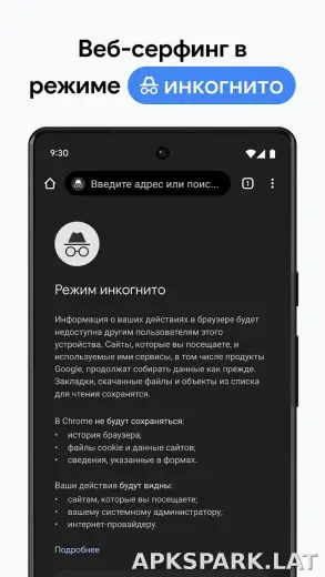 Google Chrome скриншот 3